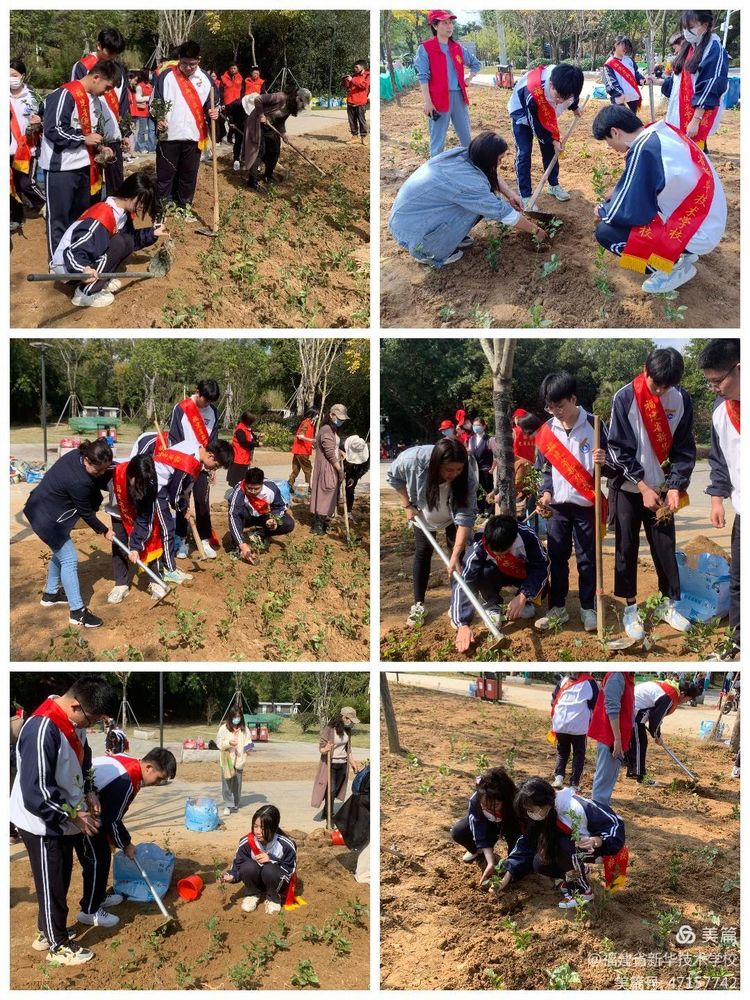 福建省新华技术学校|爱绿护绿，共植茉莉